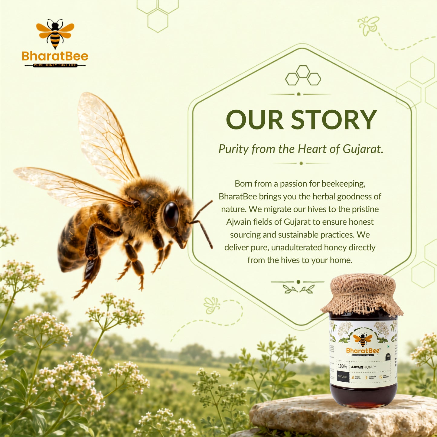 Ajwain Honey