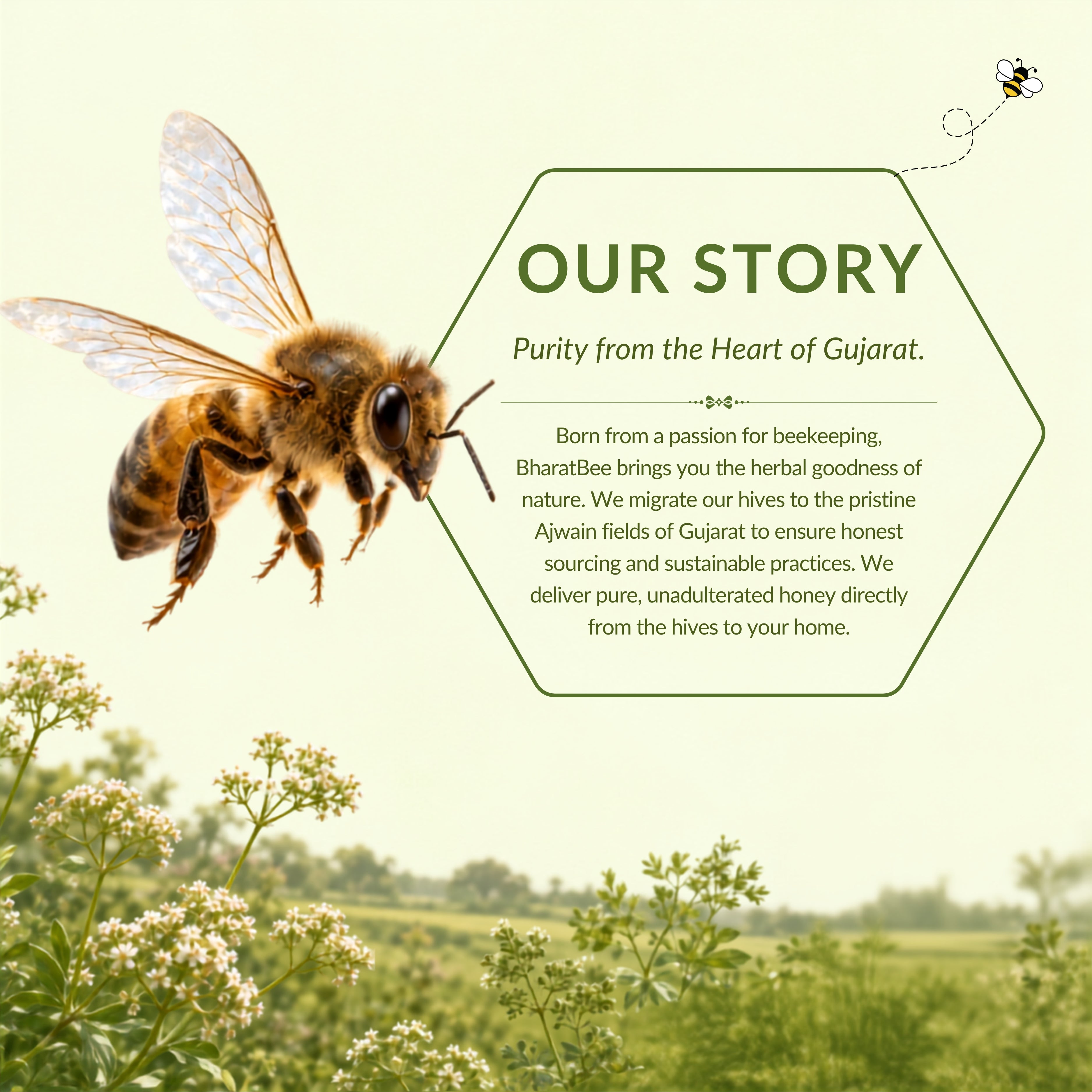 Ajwain Honey
