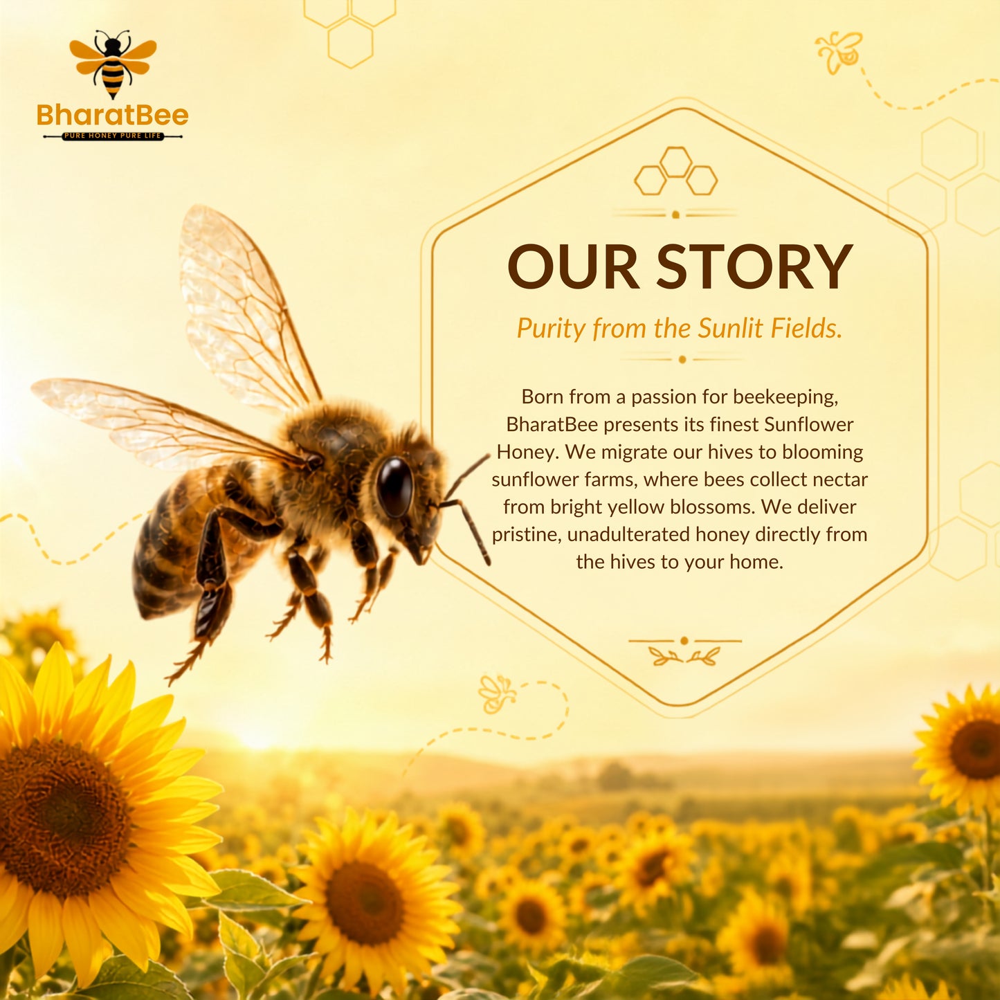 Sunflower Honey
