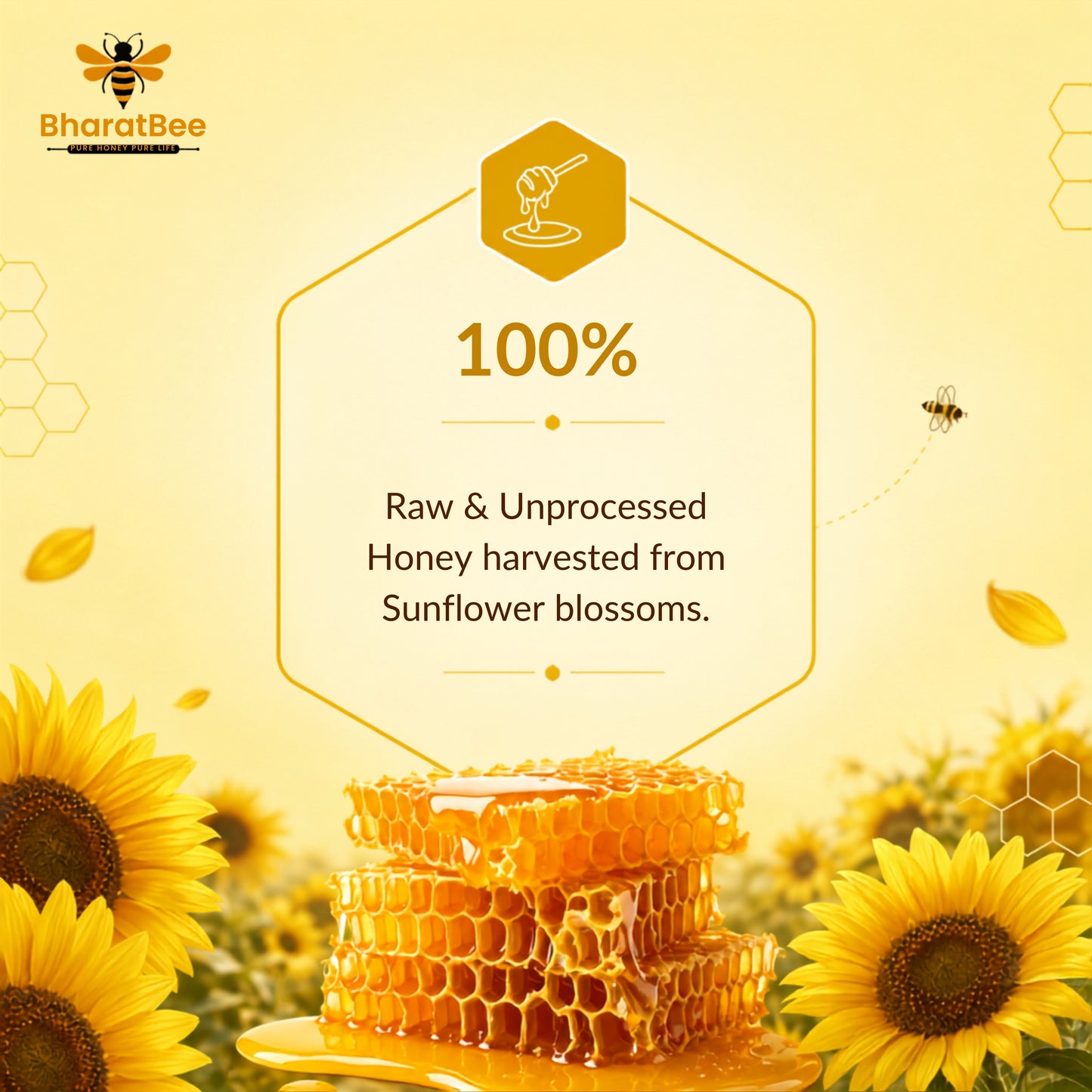 Sunflower Honey