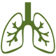 Respiratory Support