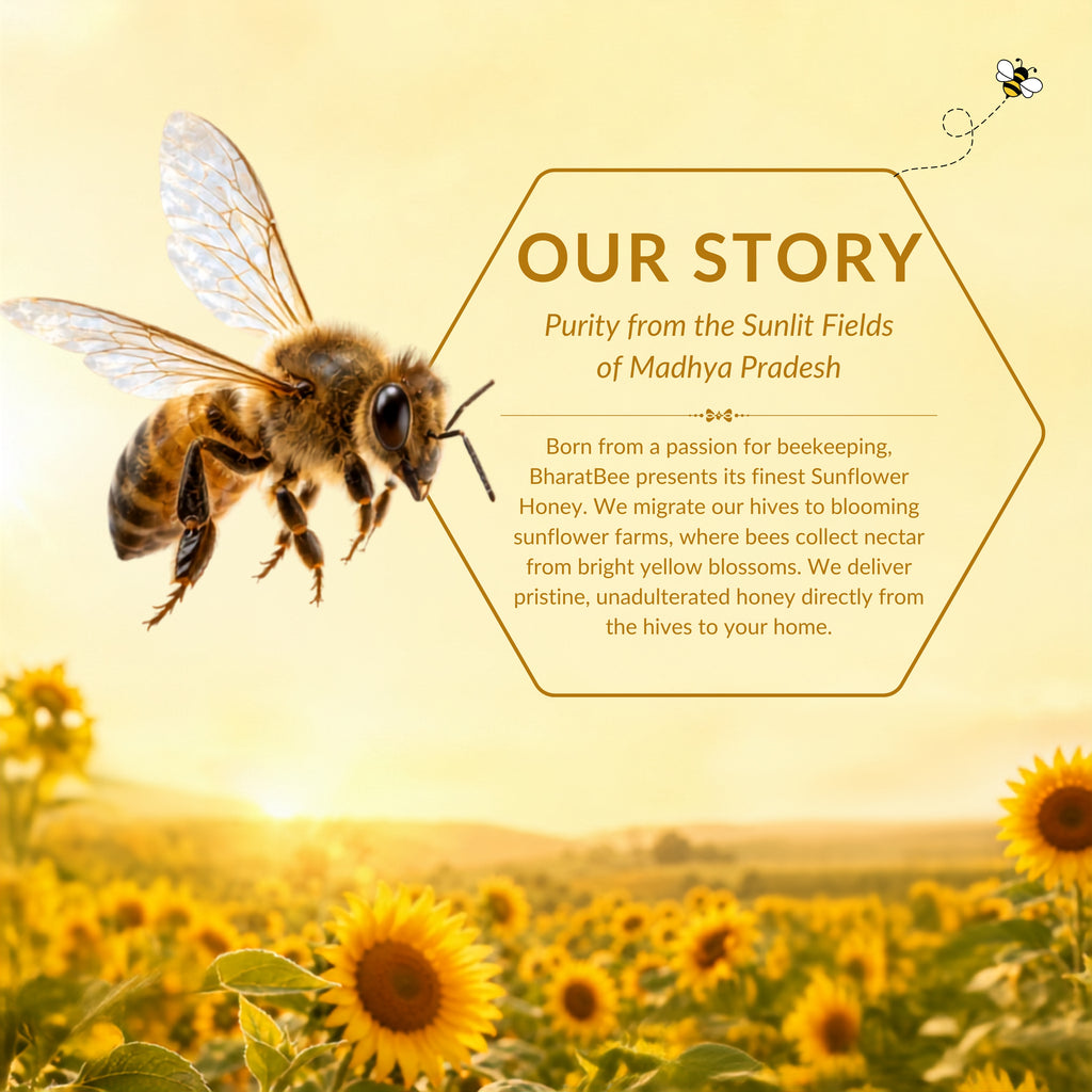 Sunflower Honey