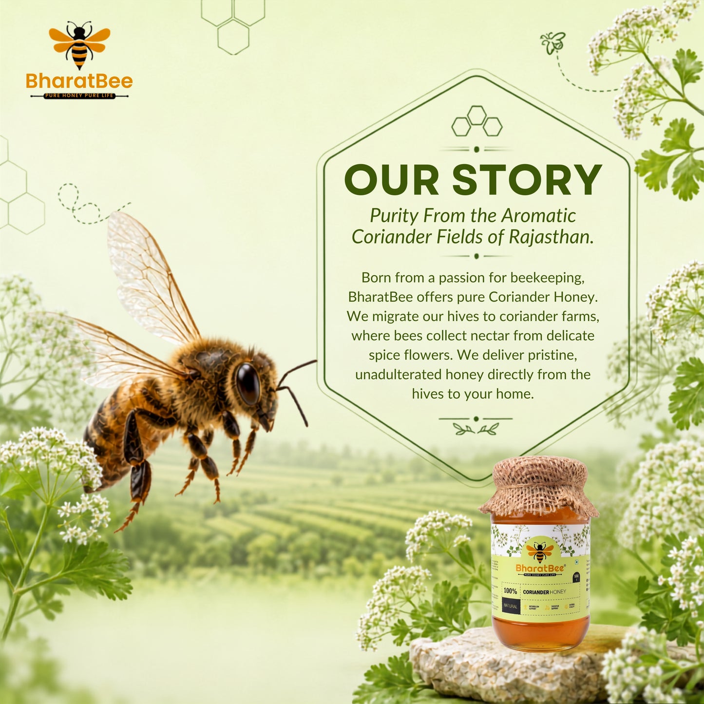 Coriander Honey