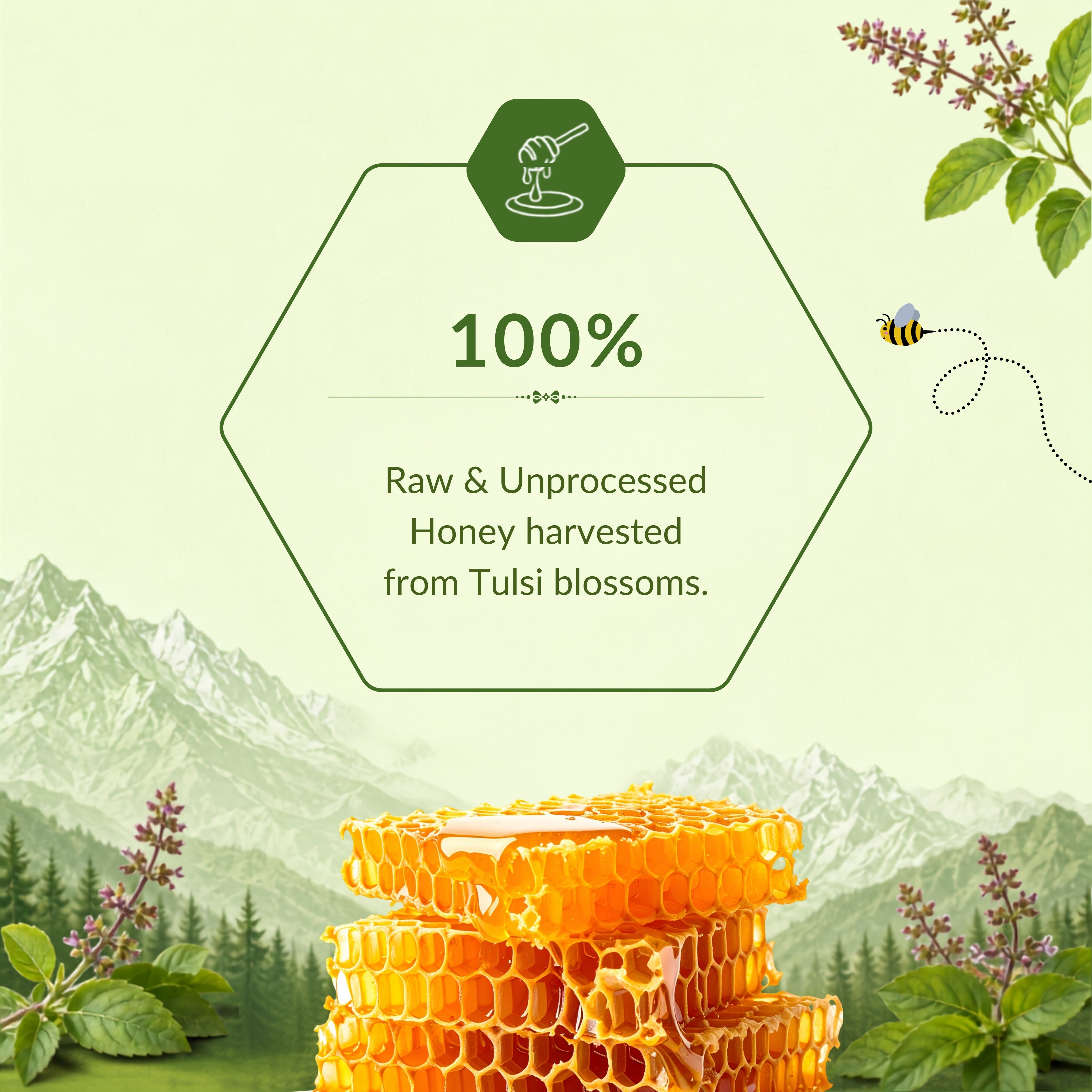 Tulsi Honey
