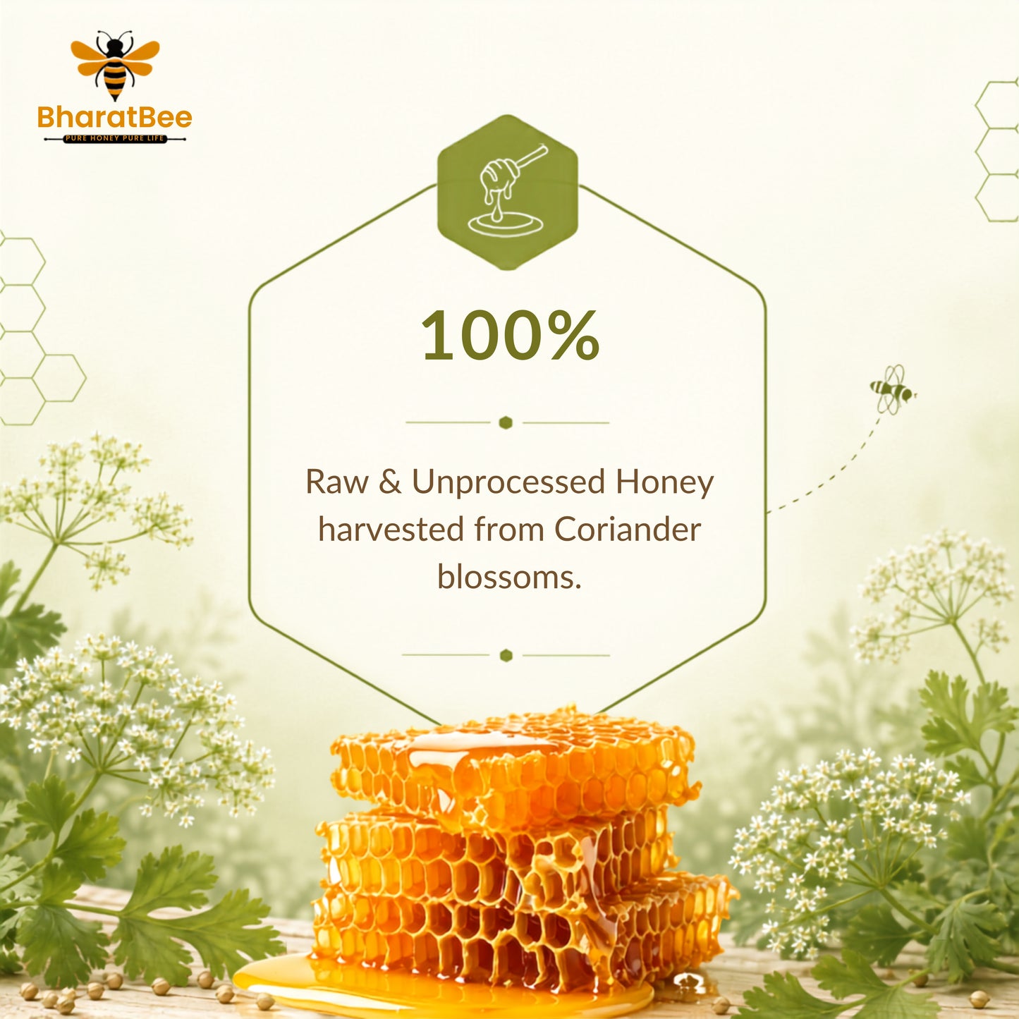 Coriander Honey