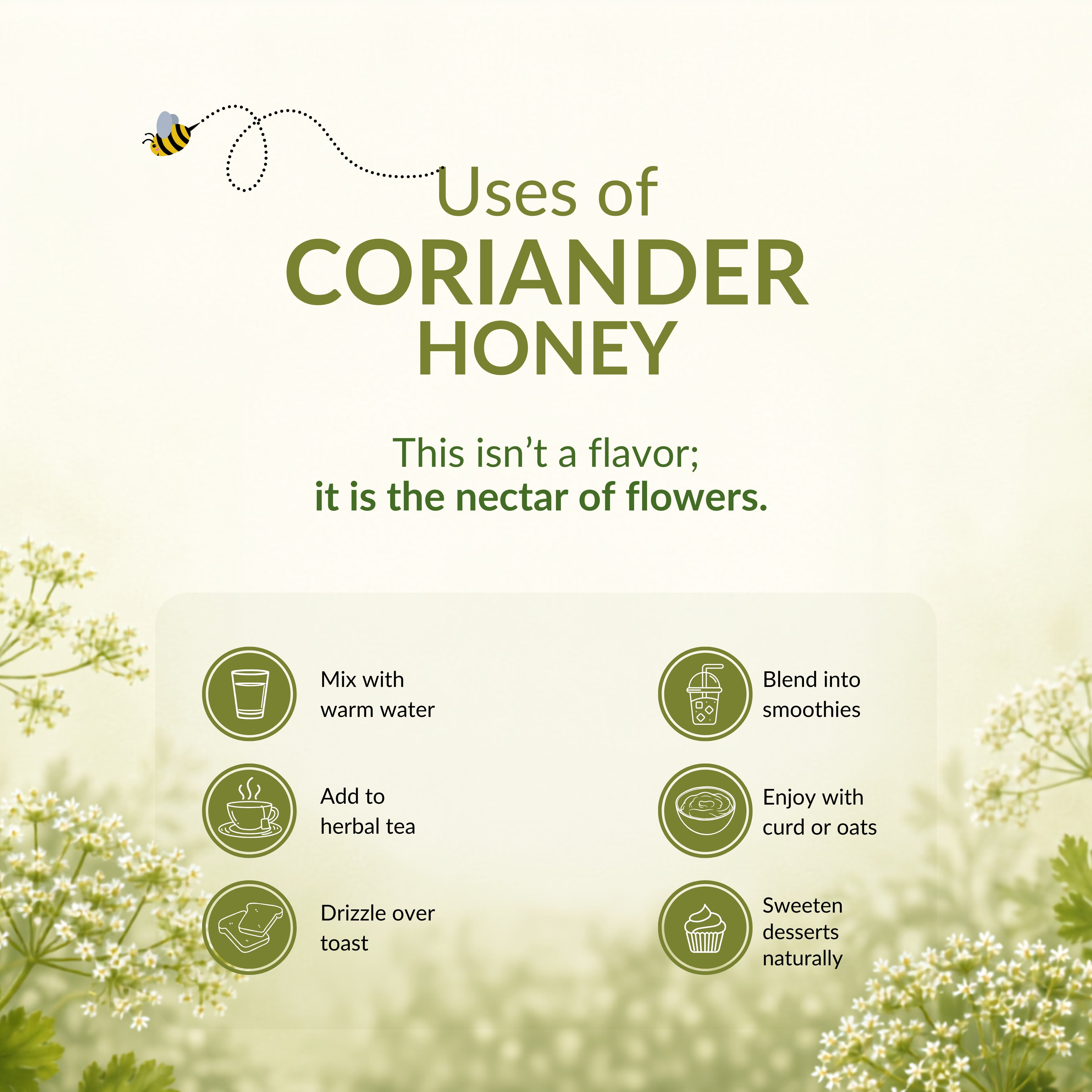 Coriander Honey