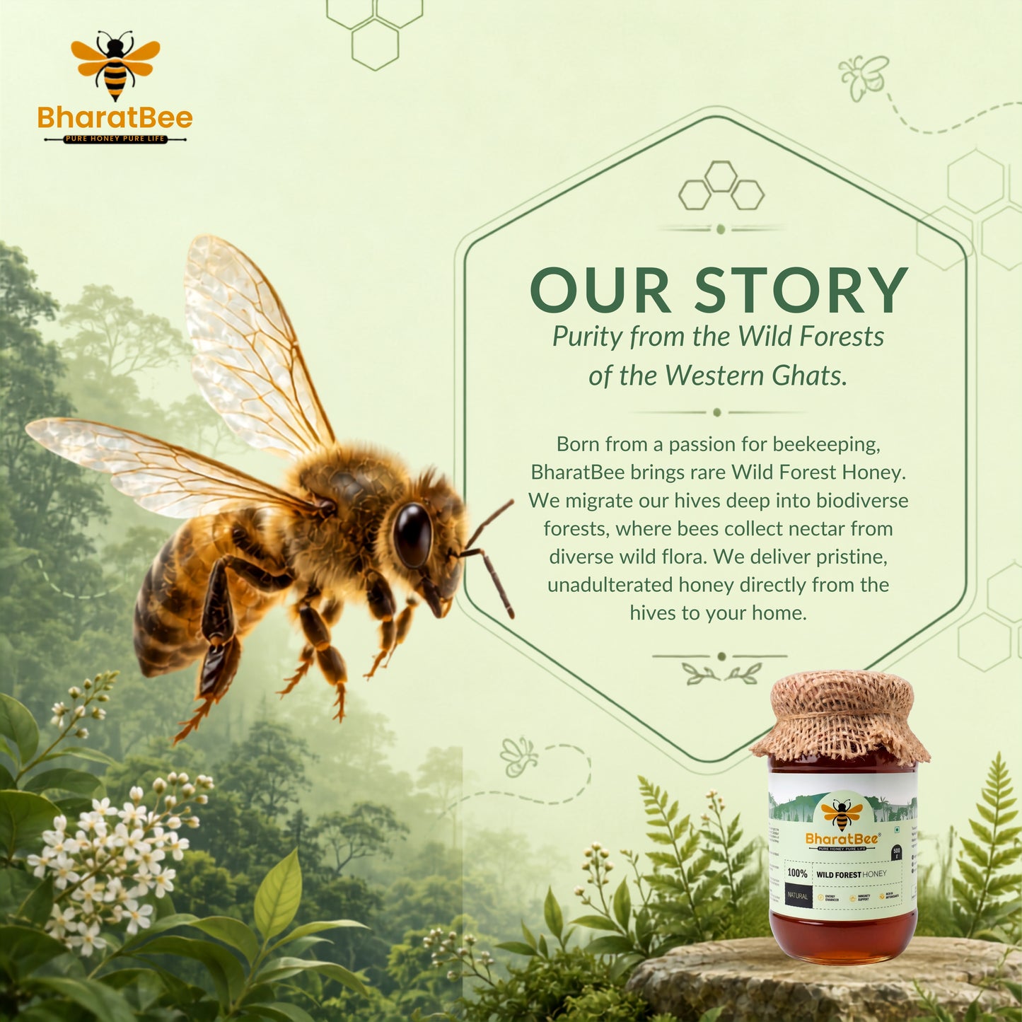 Wild Forest Honey