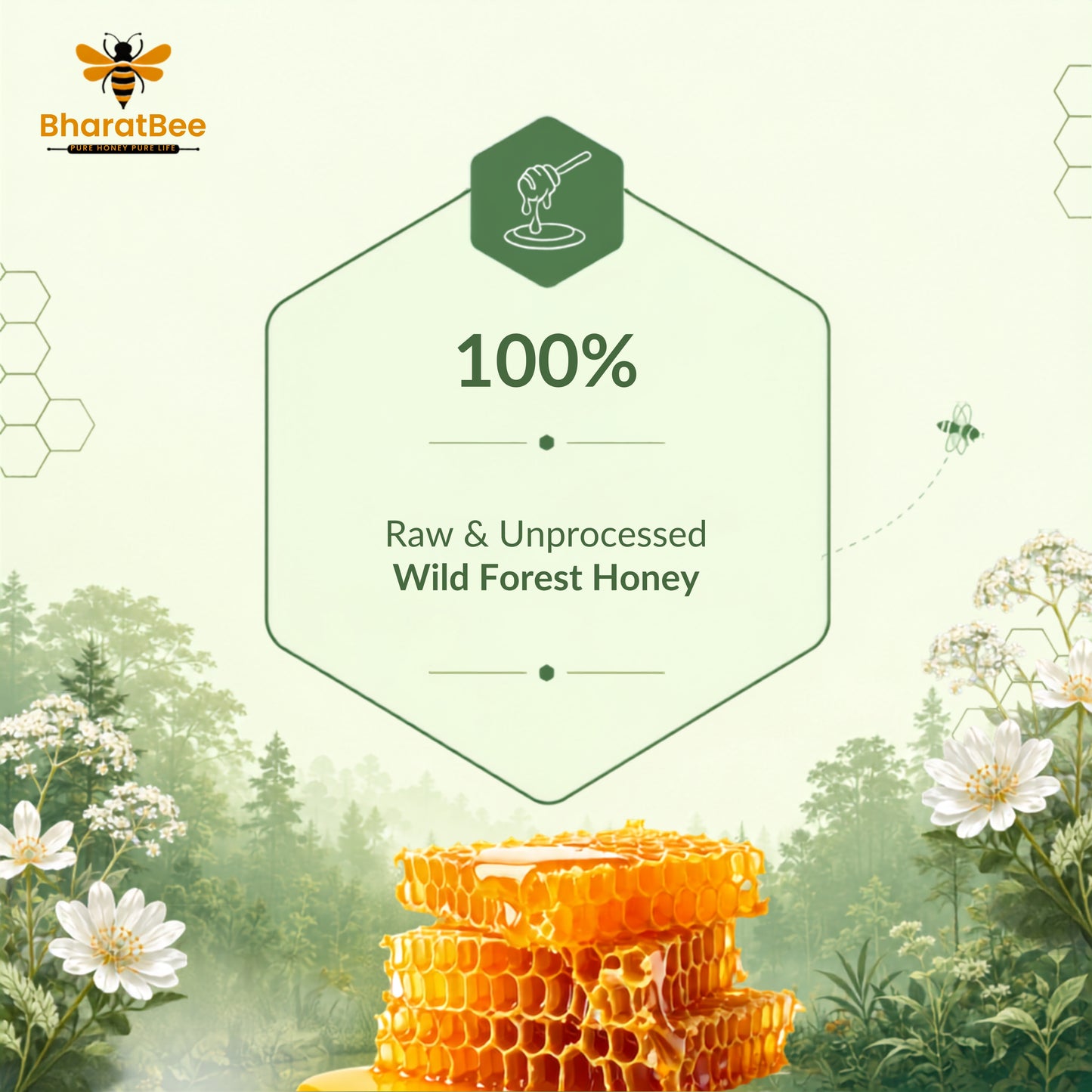 Wild Forest Honey