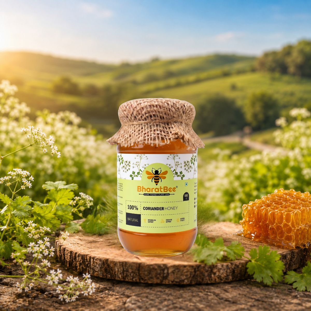 Coriander Honey