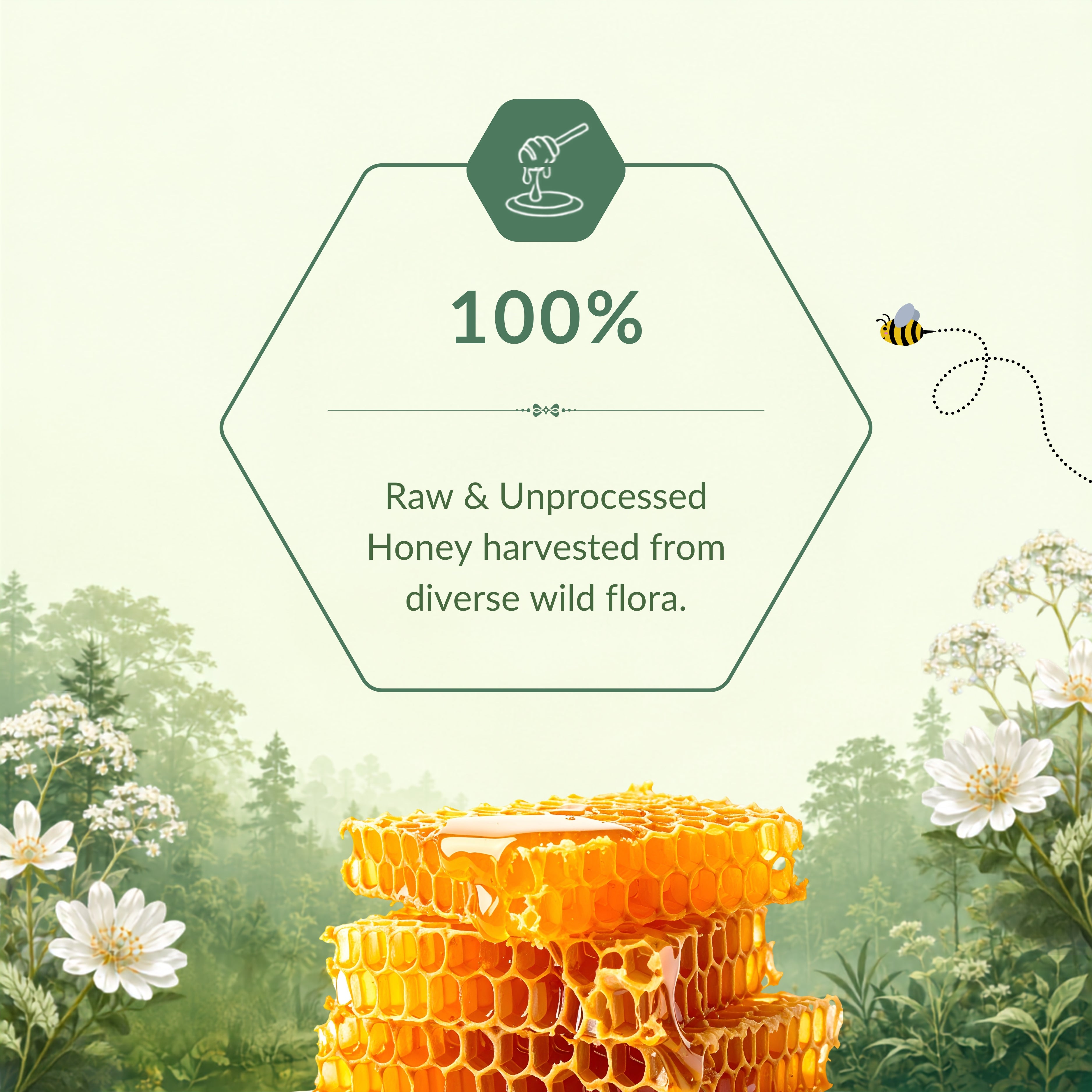 Wild Forest Honey