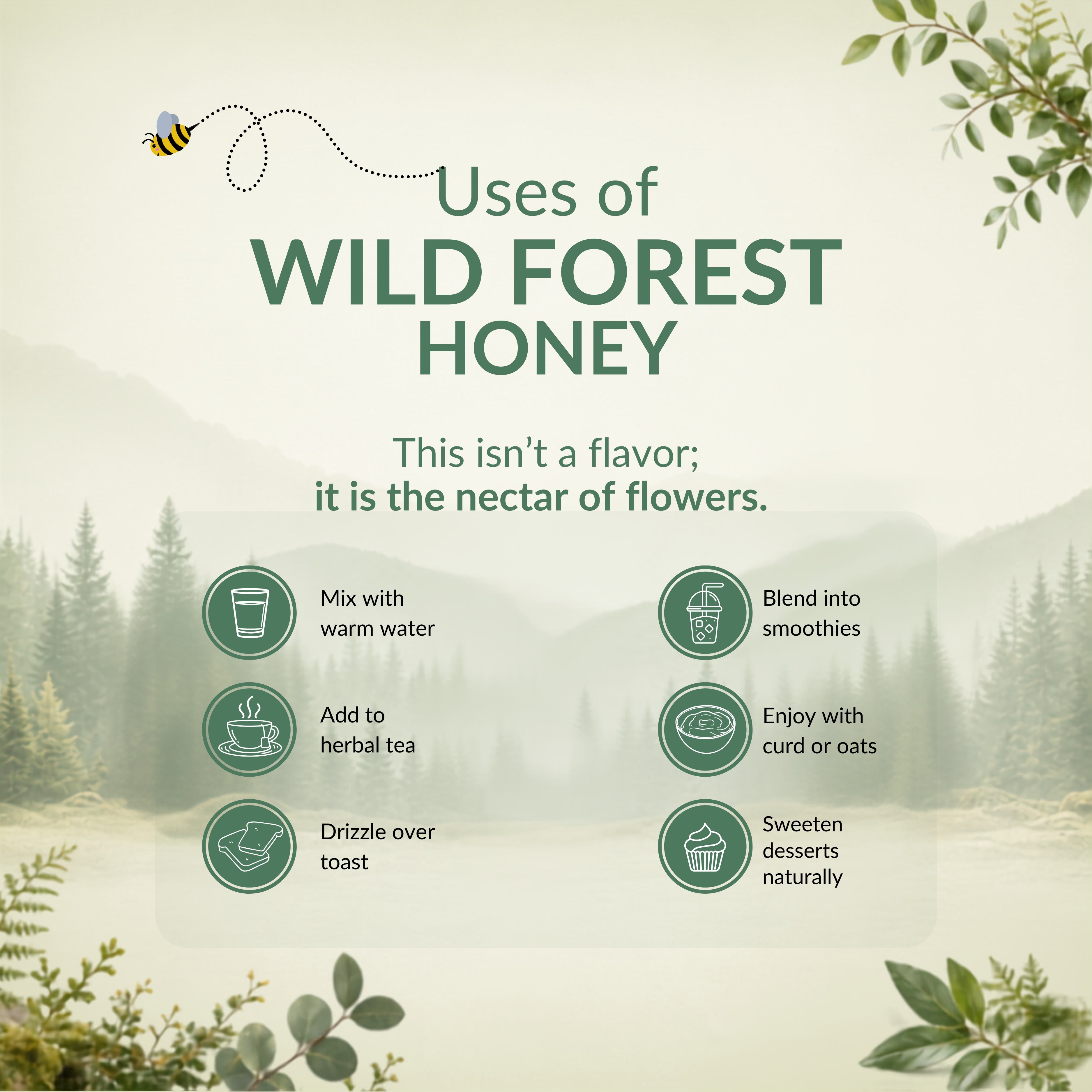 Wild Forest Honey