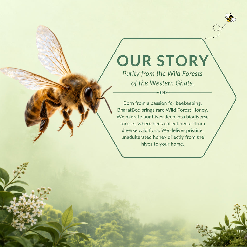 Wild Forest Honey