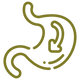 Digestive Support