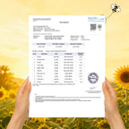 Sunflower Honey