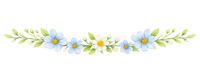 Decoration