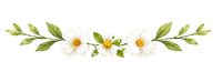 Decoration