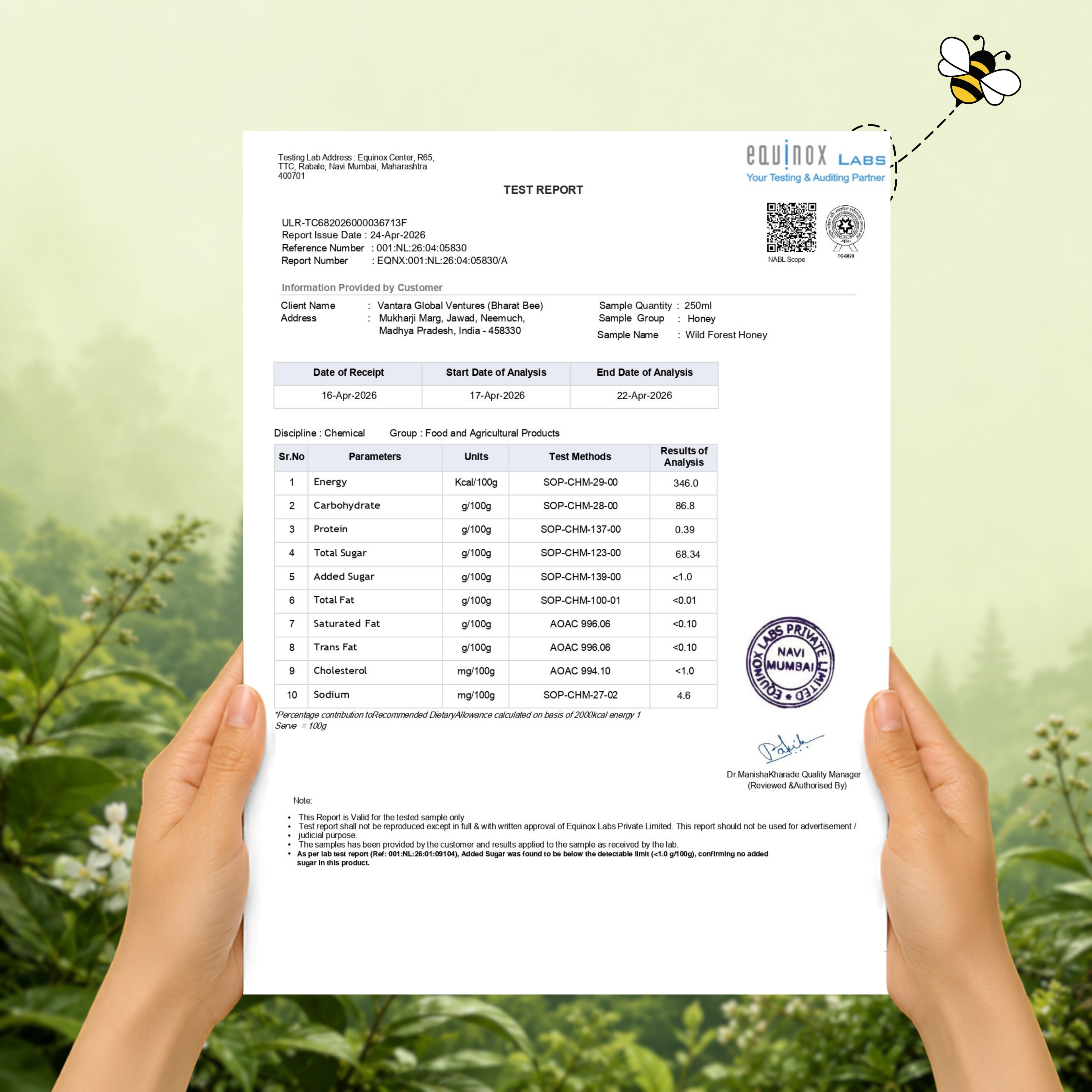 Wild Forest Honey